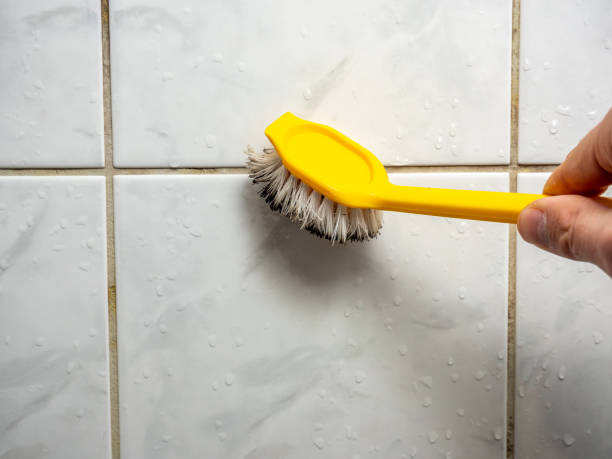 Best Emergency Mold Removal  in Dogtown, CA