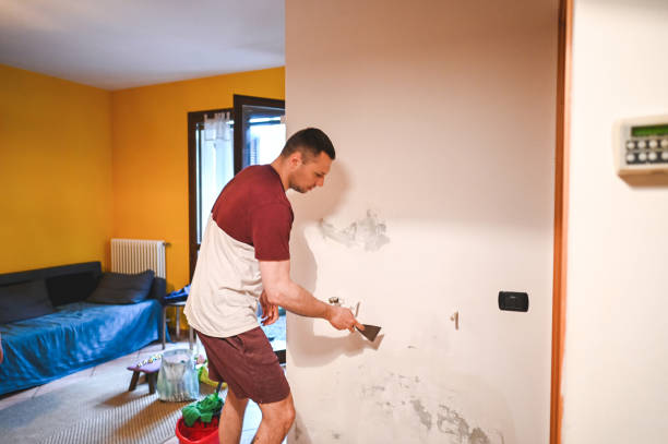 Best Same-Day Mold Removal  in Dogtown, CA